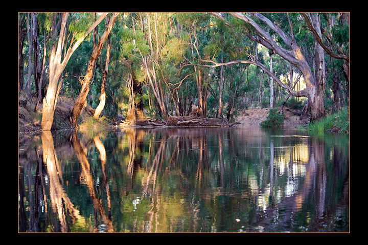 Reflections on the creek